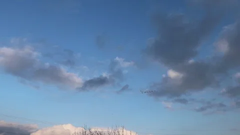 Birds, flying at the background of cloudy skies in the evening. Stock Footage 104335717