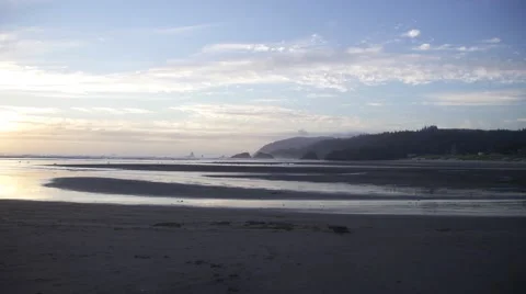Birds flying on the Beach at Sunset Stock Footage 52293547