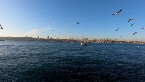 Birds flying in the Bosphorus Stock Footage 171927078