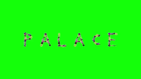 Birds Flying on Chroma Key for Compositing Stock Footage 337996618