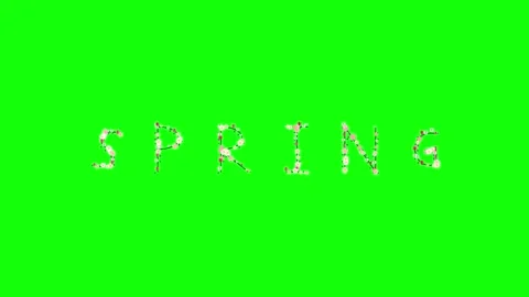 Birds Flying on Chroma Key for Compositing Video stock 337996744
