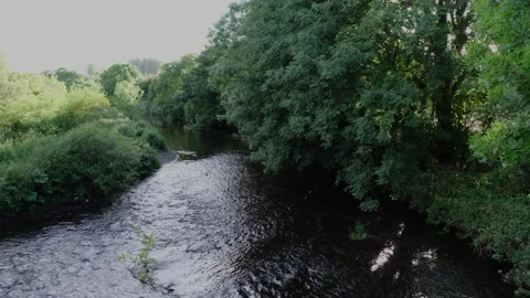 Birds flying down the River Braid at Broughshane, Northern Ireland Video stock 279458916