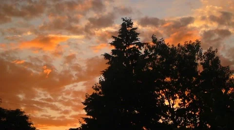 Birds Flying during Sunset Stock Footage 11880880