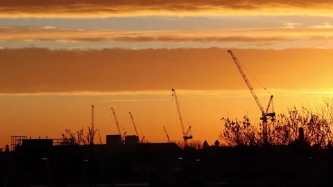 Birds flying during sunset Stock Footage 147532199