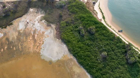 Birds flying in epic landscape from above Stock Footage 149062953