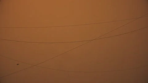 Birds flying Stock Footage 137334004