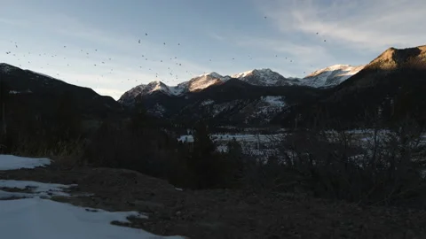 Birds flying in front of distant mountains as the sun is cresting the peaks in Stock Footage 170589276