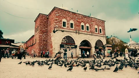 Birds Flying in front of Spice Bazaar in Istanbul Extreme Slow Motion Stock Footage 143852748