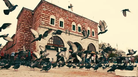 Birds Flying in front of Spice Bazaar in Istanbul Extreme Slow Motion Stock-Footage 143852907