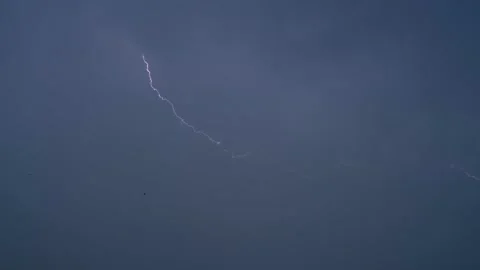 Birds flying high in dark cloudy sky and thunderbolt. Stock Footage 290048102