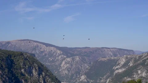 Birds flying high. Panoramic view of valley mountain peak on the background Stock Footage 123004090