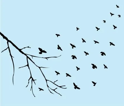 Birds flying Stock Illustration