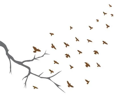 Birds Flying Stock Illustration