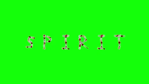 Birds Flying Isolated Green Screen Stock Video Stock Footage 337996733