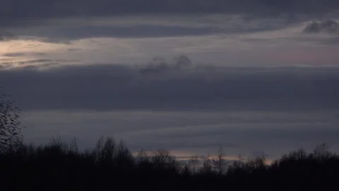 Birds flying in large flock on migration murmuration in the sky 4K Vidéo 317130477