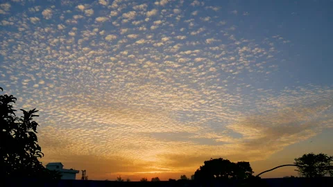 Birds flying in a line along with clouds and sunset Stock Footage 246726805