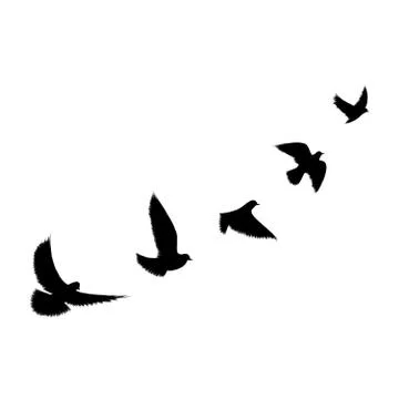 Birds flying line black background Stock Illustration