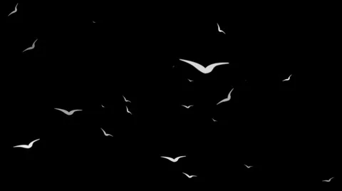 Birds Flying Loop 2 Stock-Footage 5502618