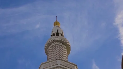 Birds flying in Mosque 動画素材 233278829
