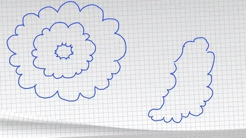 Birds Flying In Notepad Stock Footage 82903612