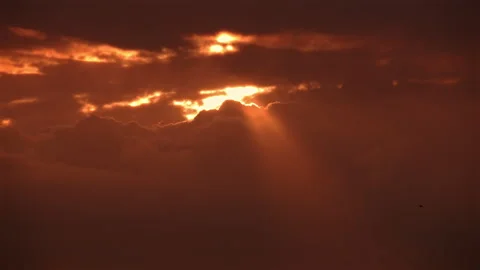 Birds Flying in Orange Sunset Clouds Stock Footage 316981933