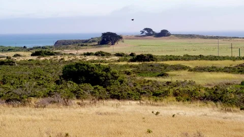 Birds Flying Over Big Sur by Aerial Drone Stock Footage 80962102