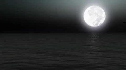 Birds flying over calm sea with moon - Nature - Night - Backgrounds - Vacations Stock Footage