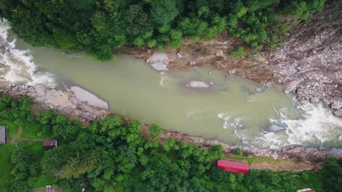 Birds flying over the forest by the river and houses Stock Footage 168712271