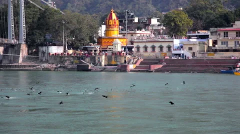 Birds Flying Over Ganges River Video stock 41759387