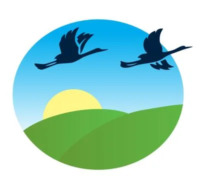 Birds flying over the green fields - vector illustration イラスト素材