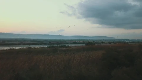 Birds flying over lake Stock Footage 90245565