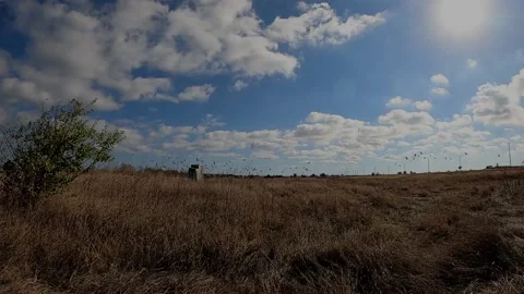 Birds flying over migrating Stock Footage 148513851