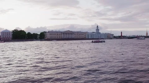 Birds flying over Neva River with historic architecture, Saint Petersburg Stock Footage 339488649