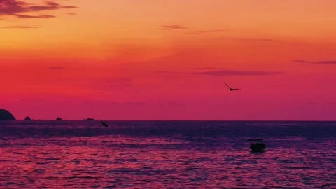 Birds Flying Over Ocean During Purple and Pink Sunset with Small Boat Silhouette 스톡 동영상 331834714