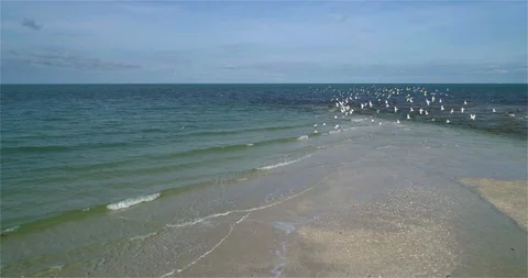 Birds Flying Over Ocean Waves, Slow Motion Aerial Drone Stock Footage 104509635