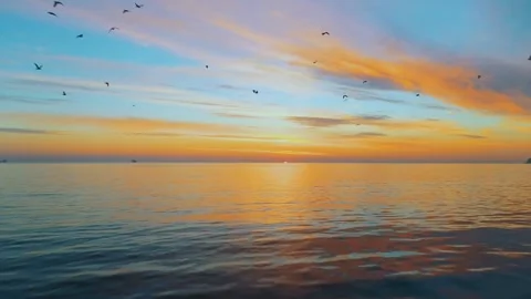 Birds flying over ocean waves at orange sunrise with drone Stock Footage 332728609