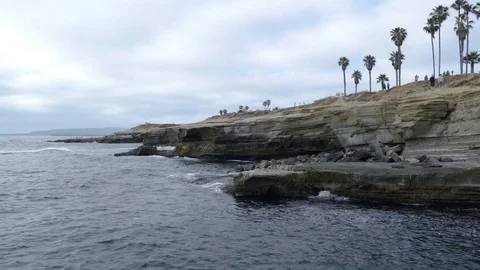 Birds Flying Over Oceanside Cliffs Stock-Footage 76276346