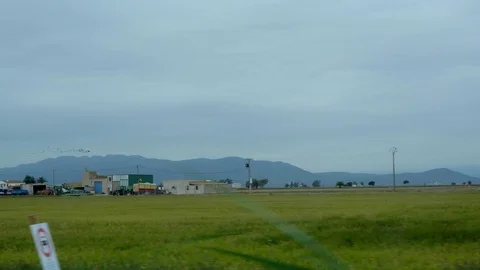 Birds flying over paddy fields, with mountains on the background, Vídeo Stock 103158572