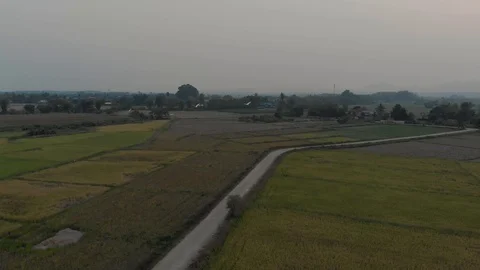 Birds flying over sunset Video stock 88648430
