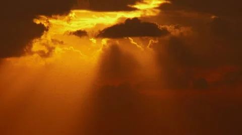 Birds flying over sunset rays Stock Footage 20512223