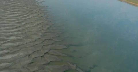 Birds flying over water. Stock Footage 60062071