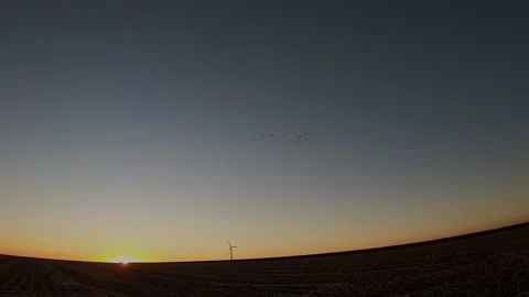 Birds flying over windmill Stock Footage 148513891