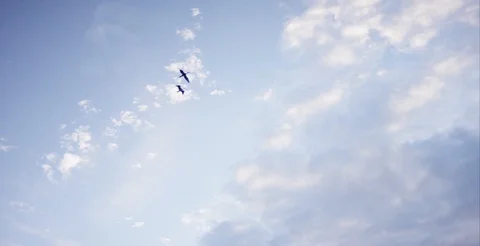 Birds Flying in the Sky Stock Footage 93811591
