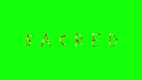 Birds Flying with Sky on Green Screen Chroma Key Background Video stock 337996691