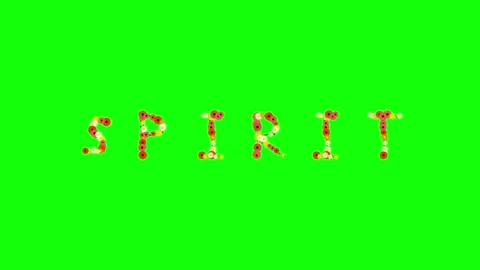 Birds Flying with Sky on Green Screen Chroma Key Background Stock Footage 337996728