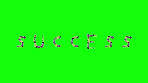 Birds Flying with Sky on Green Screen Chroma Key Background Stock Footage 337996767