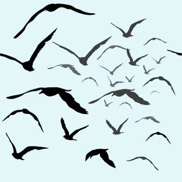 Birds flying in the sky Stock Illustration