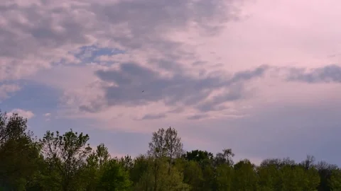 Birds flying in the sky sunset Video stock 132349037