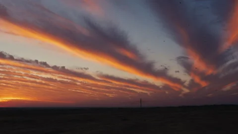 Birds flying in the sky at sunset 库存影片 274655443