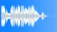 Birds FlyingSound Effect